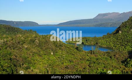 Vue panoramique sur le lac Tarawera, en Nouvelle-Zélande, entouré de forêts indigènes. En arrière-plan à droite se trouve le mont Tarawera, un volcan Banque D'Images