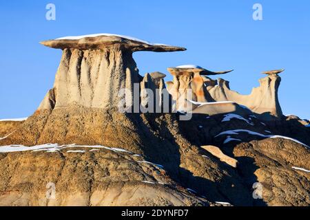 Bisti Badlands, colonne monolithe et rocheuse de mudstone et de grès, Nouveau-Mexique, États-Unis Banque D'Images