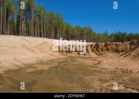 Le jour de septembre ensoleillé dans une carrière de sable. Région de Kostroma, Russie Banque D'Images