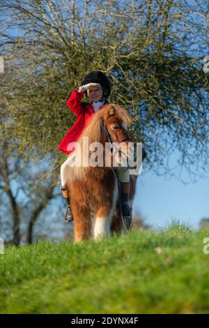 Arley, Worcestershire, Royaume-Uni. 27 décembre 2020. Après les chasses au lendemain de Noël à cause des restrictions de Covid, Henley Mills, 7 ans, se met à chasser ce matin. Vêtu d'une tunique rouge, d'un casque et d'une assise magistrale sur son mont Radish - un poney de 7 ans - Henley a un moment de gloire. Henley et sa famille, d'Arley dans le Worcestershire, auraient normalement assisté à la chasse aux bois et à l'Albrighton à Hagley Hall, mais des spectateurs et des suiveurs étaient absents en raison des règles de Covid, ce qui l'a laissé déçu. Crédit : Peter Lophan/Alay Live News Banque D'Images