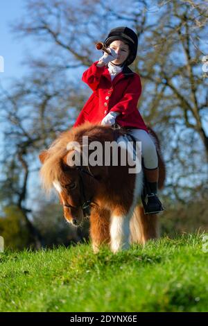 Arley, Worcestershire, Royaume-Uni. 27 décembre 2020. En raison des chasses peu importantes du lendemain de Noël dues aux restrictions de Covid, Henley Mills, 7 ans, se met à faire sa propre « chasse » ce matin. Vêtu d'une tunique rouge, d'un casque et d'une assise magistrale sur son mont Radish - un poney de 7 ans - Henley a un moment de gloire. Henley et sa famille, d'Arley dans le Worcestershire, auraient normalement assisté à la chasse aux bois et à l'Albrighton à Hagley Hall, mais des spectateurs et des suiveurs étaient absents en raison des règles de Covid, ce qui l'a laissé déçu. Crédit : Peter Lophan/Alay Live News Banque D'Images