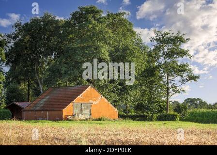 La grange est en Frise orientale sur le terrain plat. Au fil des ans, le bâtiment a été restauré plusieurs fois. Banque D'Images