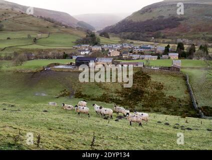 Une journée d'hiver à Swaledale, dans le parc national de Yorkshire Dales, au Royaume-Uni. La brouette des moutons en premier plan et le village de Muker est vu à distance moyenne. Banque D'Images