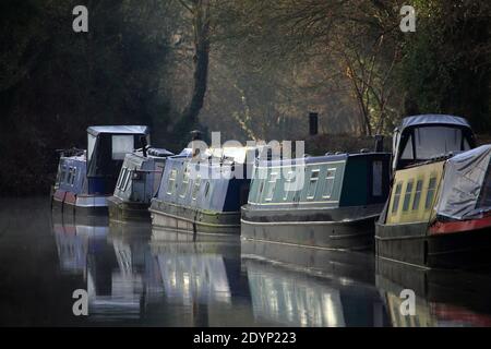 Des barques de la forêt amarrées sur le canal du Staffordshire et du Worcestershire près de Kinver, Staffordshire, Angleterre, Royaume-Uni. Banque D'Images