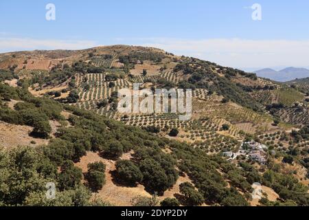 Los Rosales. Cortijos de Los Rosales se trouve dans les montagnes, Frailes, Jaen, Andalousie. Chalets rustiques de l'aldea près de Frailes, Sierra sur de Jaen. Espagne. Banque D'Images