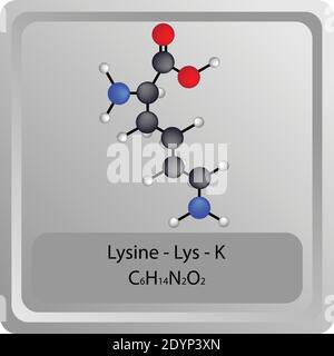 Structure chimique de la lysine – Lys – K Amino. Formule moléculaire de la molécule modèle de bille et de bâton. Biochimie, médecine et enseignement des sciences. Illustration de Vecteur