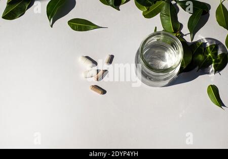 Additifs minéraux et eau dans une bouteille en verre. Magnésium et autres minéraux. Les feuilles vertes se trouvent à proximité. L'idée de la guérison naturelle ​​a pour les maladies. Banque D'Images