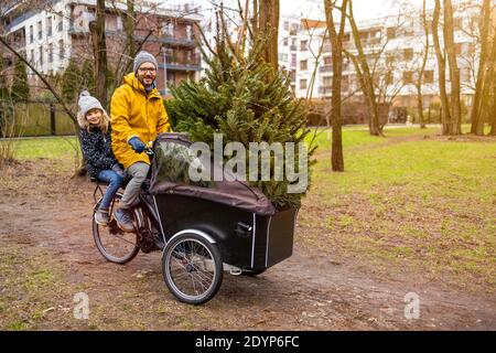 Père et fille ayant une promenade avec le transport de vélo de cargaison Arbre de Noël Banque D'Images