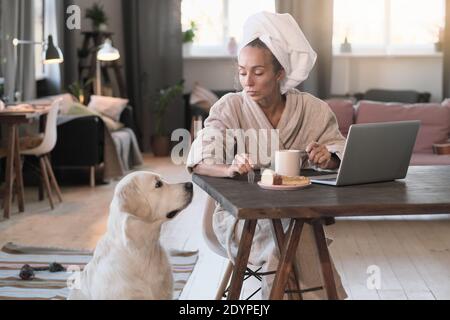Jeune femme en peignoir prenant le petit déjeuner à son lieu de travail et parler à son chien dans la chambre Banque D'Images