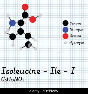 Isoleucine - Ile - I acides aminés formule moléculaire et structure chimique . Modèle de boule et de bâton 2D sur fond de feuille de papier de l'école. EPS10 Illustration de Vecteur