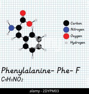 Phénylalanine - Phe - F acides aminés formule moléculaire et structure chimique . Modèle de boule et de bâton 2D sur fond de feuille de papier de l'école. EPS10 Illustration de Vecteur