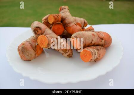 Gros plan des racines turmeriques (curcuma longa linn) rhizomes sur plaque blanche. Curcuma brut de couleur orange originaire d'Inde Asie. Tas de pièces Banque D'Images