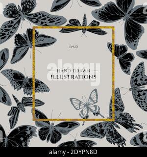 Écusson sur le motif avec tigre Uni, rajah brooke, papillio torquatus, papillon à queue d'oiseau Illustration de Vecteur