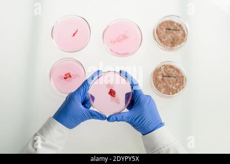 Vue d'ensemble des mains gantées du travailleur du contrôle de la qualité des aliments en blanc contenant une boîte de pétri avec un échantillon minuscule de matière première viande végétale sur table Banque D'Images