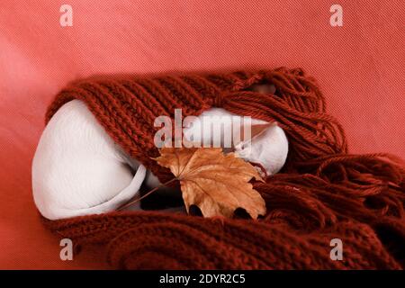 Le petit chiot gris-blanc de Chihuahua dort dans un foulard tricoté rouge sur fond rouge, avec une feuille d'érable d'automne Banque D'Images