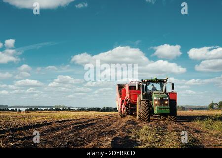 Le tracteur récolte des pommes de terre dans le champ. Image de l'industrie agricole Banque D'Images