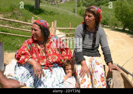 Gitans (Romani, Rroma) voyageant dans un chariot en Roumanie Banque D'Images