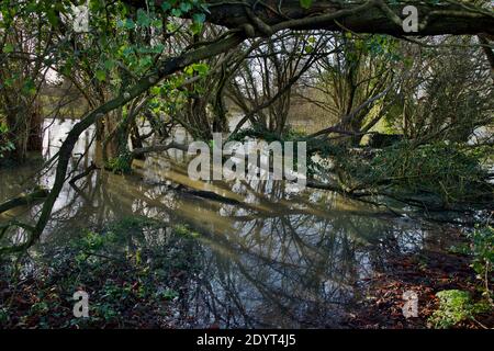 Rivière débordé dans la ville de Horley Banque D'Images