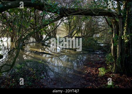 Rivière débordé dans la ville de Horley Banque D'Images