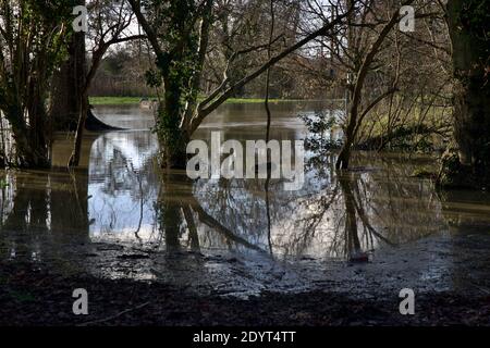 Rivière débordé dans la ville de Horley Banque D'Images