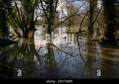 Rivière débordé dans la ville de Horley Banque D'Images