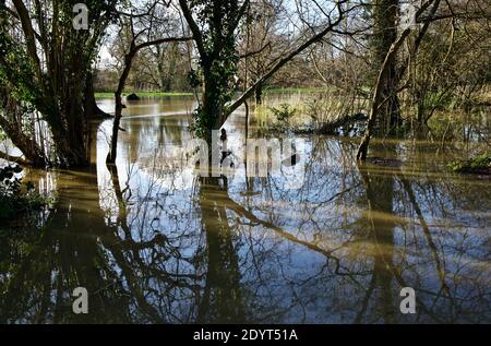 Rivière débordé dans la ville de Horley Banque D'Images