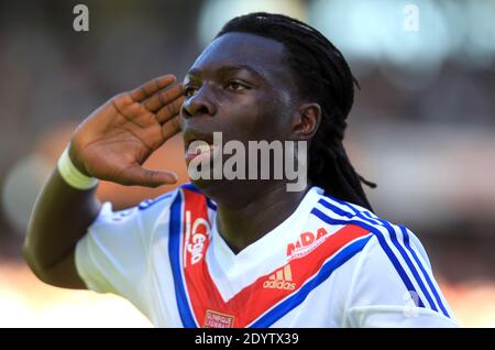 Le Bafetimbi Gomis d'Ol' s célèbre après avoir obtenu son score lors du match de football de la première Ligue française, l'Olympique de Lyon contre le cub de Nantes au stade Gerland de Lyon, en France, le 22,2013 septembre. OL a gagné 3-1. Photo de Vincent Dargent/ABACAPRESS.COM Banque D'Images