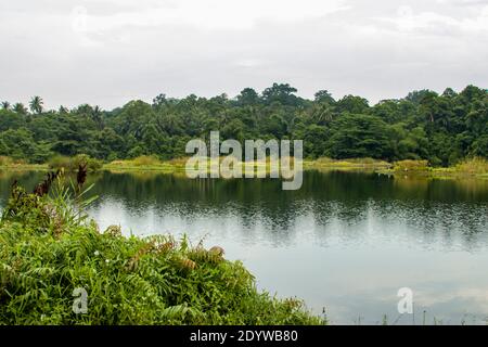 Pekan Quarry lac et forêt tropicale à pulau ubin île de Singapour. Le site avait deux carrières qui « fusionnaient » en une Banque D'Images