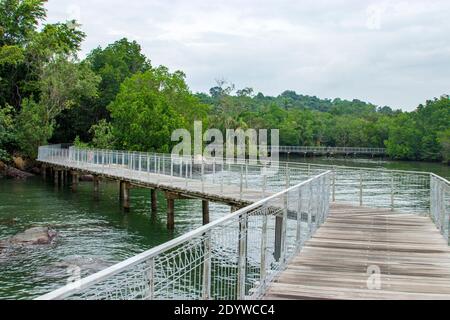 La promenade, la plage de rochers et la mangrove rouge dans la zone humide de Chek Jawa. C'est un cap et le nom de ses terres humides de 100 hectares situées au sud-est Banque D'Images