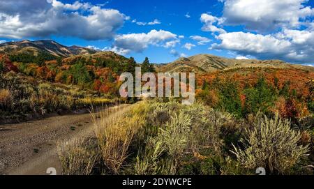 Couleurs d'automne au terrain de camping de Goodenough Creek, au sud de Pocatello, Idaho, dans les montagnes Caribou Banque D'Images