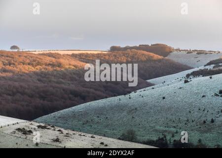 Shaftesbury, Dorset, Royaume-Uni. 28 décembre. Météo Royaume-Uni. Une légère couche de neige couvre Compton près de Shaftesbury dans Dorset après une douche hivernale tôt le matin. Crédit photo : Graham Hunt/Alamy Live News Banque D'Images