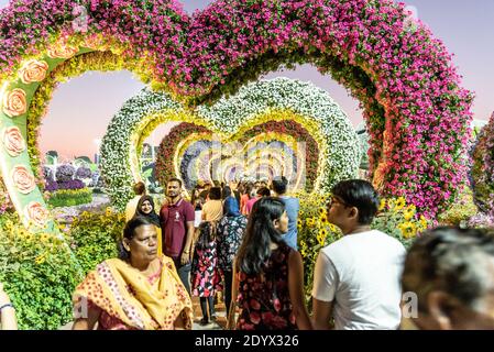 DUBAÏ, ÉMIRATS ARABES UNIS - 05 décembre 2019 : Dubaï, Émirats arabes Unis, 01 décembre 2019, Dubai Miracle Garden Banque D'Images