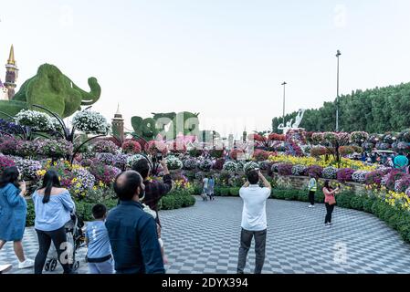 DUBAÏ, ÉMIRATS ARABES UNIS - 05 décembre 2019 : Dubaï, Émirats arabes Unis, 01 décembre 2019, Miracle Garden Banque D'Images
