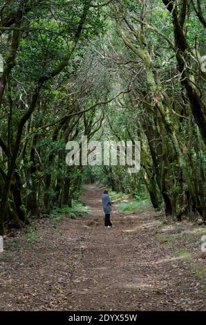 Femme dans une forêt de Laurier. Parc national de Garajonay. La Gomera. Îles Canaries. Espagne. Banque D'Images