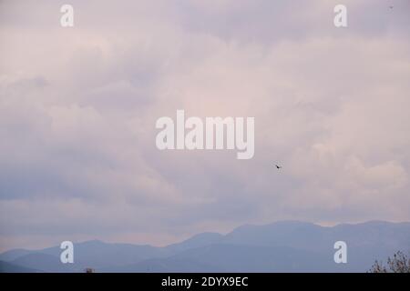 Oiseaux sur le ciel. Temps couvert et très nuageux sous le soleil dans le ciel de Bursa. Oiseaux volant sur la ville et l'arbre. Banque D'Images