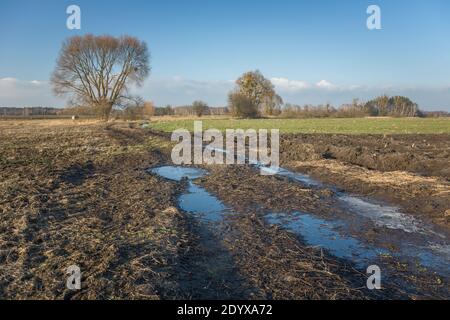 Boue et eau sur la route de terre à travers les champs Banque D'Images