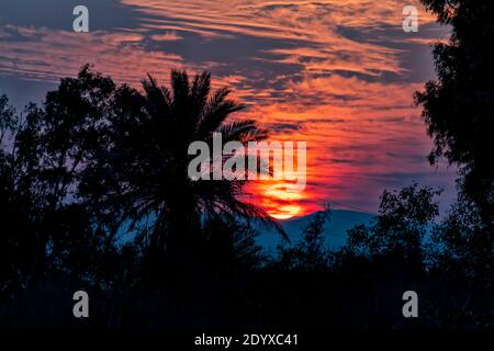 Coucher de soleil pittoresque dans le ciel avec nuages et silhouettes de palmiers au premier plan Banque D'Images