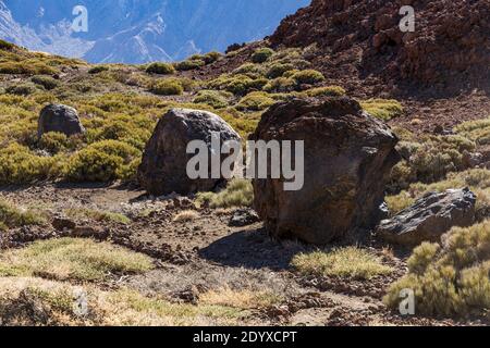 Teides oeufs, roches volcaniques qui ont roulé sur les couches de la coulée de lave et se reposent maintenant à côté du chemin de Pico Viejo dans le parc national, Las C Banque D'Images