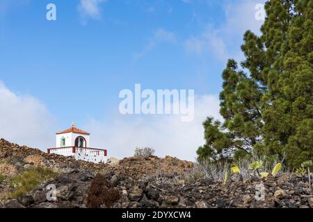 Pinus canariensis, pins canariens et ermita, ermitage à Santiago del Teide, Ténérife, Îles Canaries, Espagne Banque D'Images