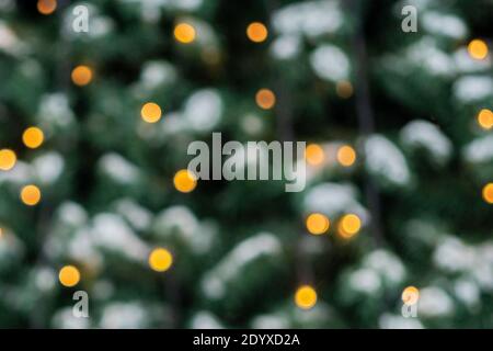 Image défocuée, lumières sur l'arbre. Il y a une place pour la félicitations text.concept. Photo de haute qualité Banque D'Images