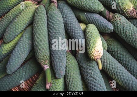 motif créé par un tas de vert mûr monstera deliciosa fruits sur le marché Banque D'Images