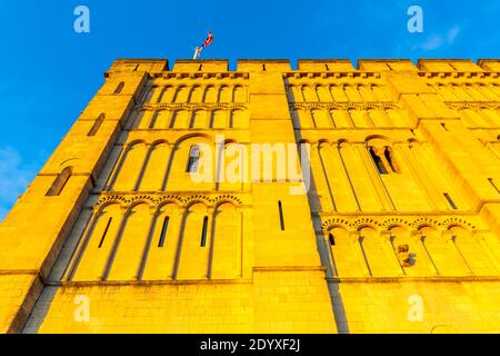 Vue sur le musée et la galerie d'art du château de Norwich, Norwich, Norfolk, East Anglia, Angleterre, Royaume-Uni, Europe Banque D'Images