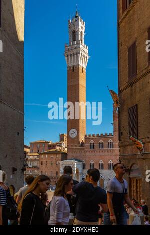 Vue sur la Piazza del Campo avec Palazzo Comunale, Sienne, Toscane, Italie, Europe Banque D'Images