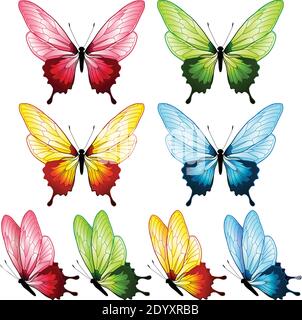 Magnifique collection de papillons, quatre couleurs Illustration de Vecteur