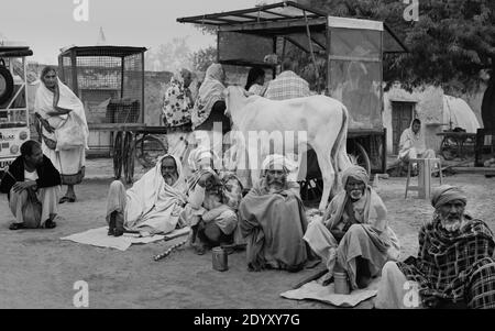 Groupe de personnes hindoues, certains mendiants à la recherche d'aumônes, femme vendant du thé, vache sainte, et d'autres près de la rivière Yamuna à Vrindavan, Uttar Pradesh, Inde. Banque D'Images