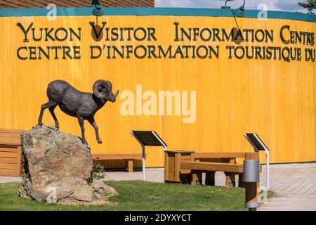 Whitehorse, Canada. 23 juin 2018. Le Centre d'information aux visiteurs du Yukon avec une statue de mouflon d'Amérique à Whitehorse, au Yukon, au Canada. Credit: Planetpix/Alamy Live News Banque D'Images