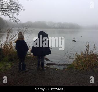 Aldenham Country Park et Lakeside Walk. Magnifique sentier écologique, oiseaux et faune, bois de Winnie-l'Ourson 100, pique-niques, café, bois et parc. Banque D'Images