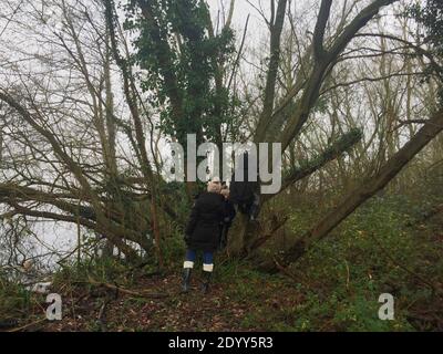 Aldenham Country Park et Lakeside Walk. Magnifique sentier écologique, oiseaux et faune, bois de Winnie-l'Ourson 100, pique-niques, café, bois et parc. Banque D'Images