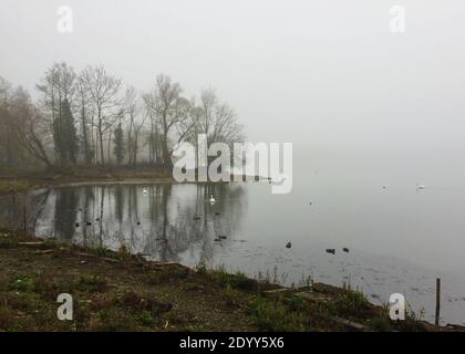 Aldenham Country Park et Lakeside Walk. Magnifique sentier écologique, oiseaux et faune, bois de Winnie-l'Ourson 100, pique-niques, café, bois et parc. Banque D'Images