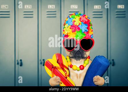 chien de taureau français, avec bonnet de bain et lunettes de protection avec canard en plastique de caoutchouc, prêt pour la piscine, dans le vestiaire Banque D'Images